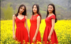 好大太大了装不下了